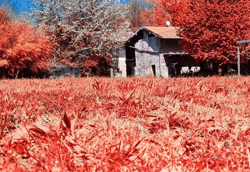 I colori negli occhi, di Francesca Bruni